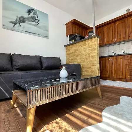 Apartment V Centre Mesta Snina