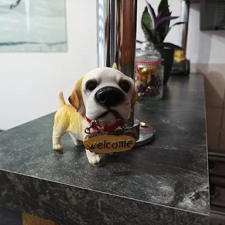 V Centre Mesta Snina