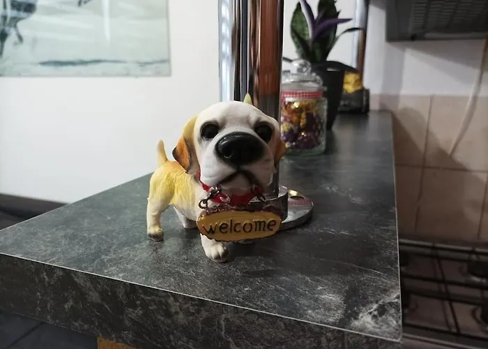 V Centre Mesta Snina